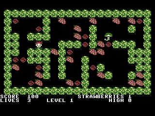 Strawberry Fields — ss (UK)