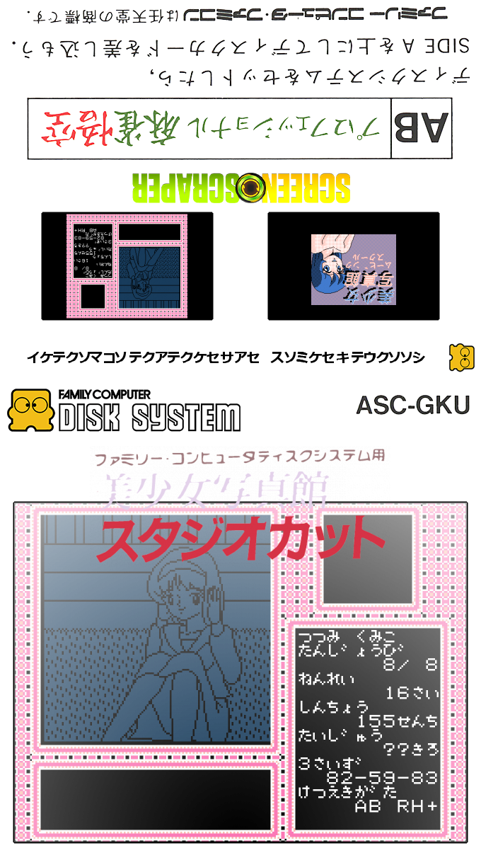 Bishoujo Shashinkan - Moving School — box-texture (SS)