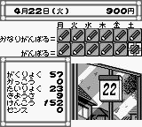 Pocket Love — ss (WOR)