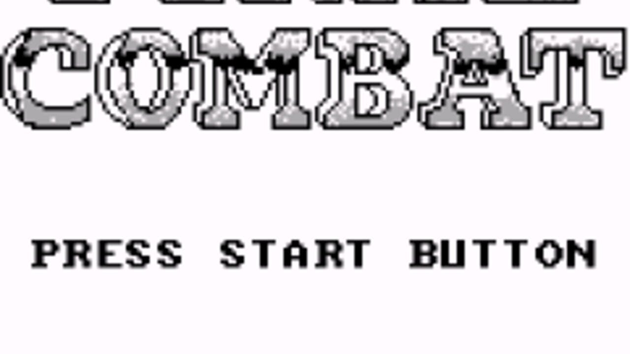 Final Combat — screenshot (WOR)