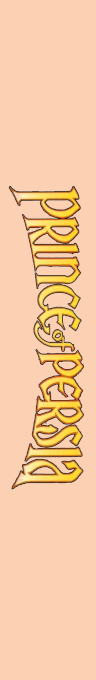 Prince of Persia — box-2D-side (CUS)