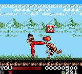 Hiryuu No Ken - Retsuden Gb — ss (WOR)