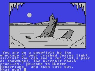 Winter Wonderland — ss (WOR)