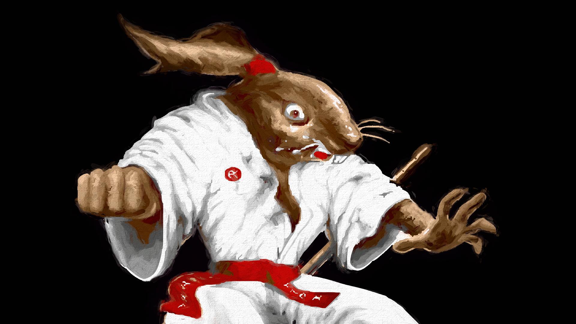 International Ninja Rabbits — fanart