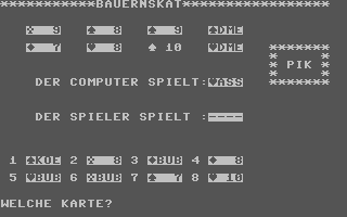 Bauernskat — ss (DE)