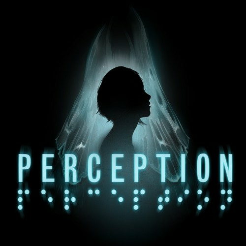 Perception — support-texture (CUS)