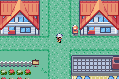 Pokemon : Dark Violet — ss (WOR)
