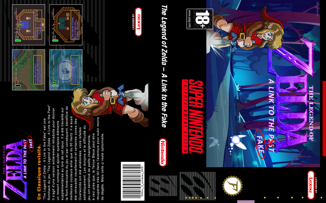 The Legend of Zelda : A Link to the Fake — box-texture (WOR)