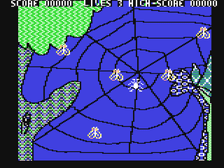 Spider Web — ss (WOR)