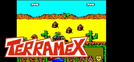 Terramex — steamgrid