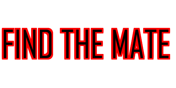 Find the Mate — wheel-hd (SS)