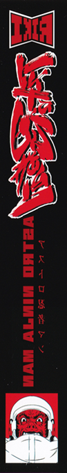 Astro Ninja Man — box-2D-side (WOR)