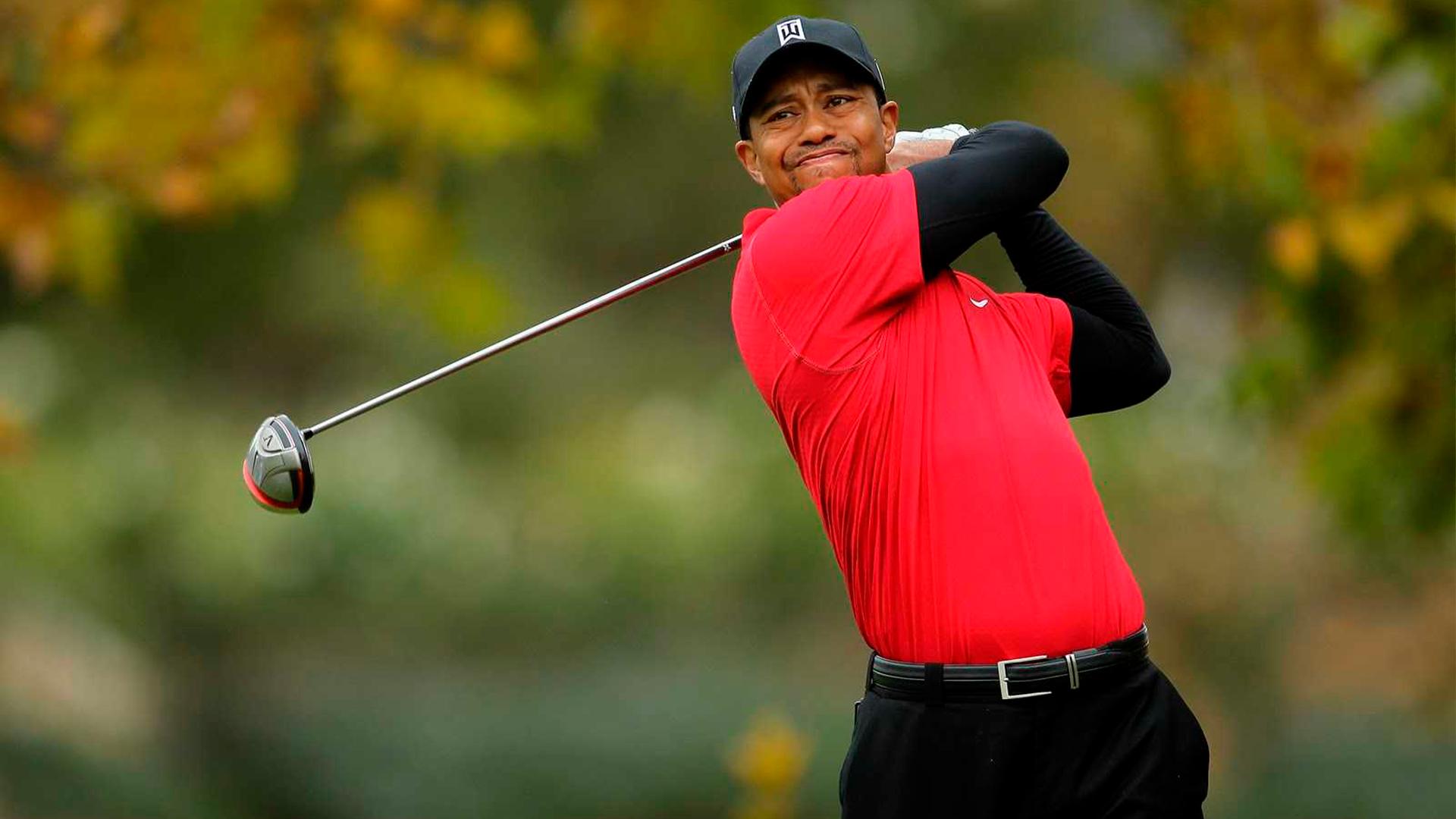 Tiger Woods PGA Tour 06 — fanart