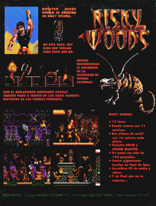 Risky Woods — box-2D-back (SP)