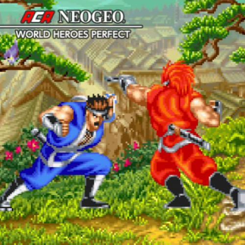 Aca Neogeo World Heroes Perfect — support-texture (CUS)