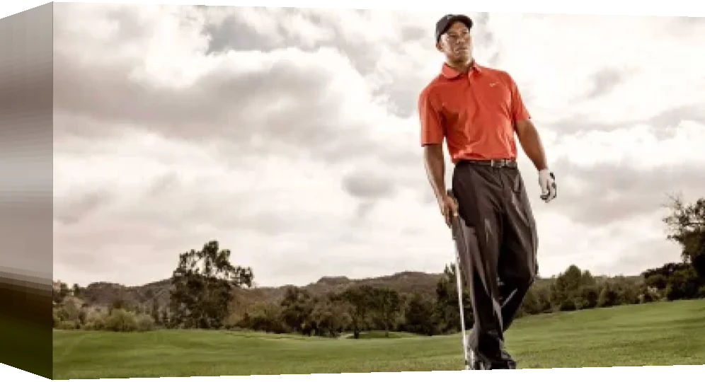 Tiger Woods PGA Tour 07 — box-3D (EU)