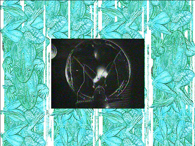 Cinema Volta — ss (WOR)