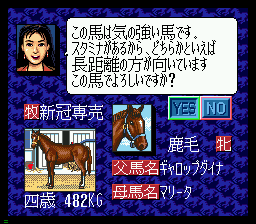 Winning Post — ss (WOR)