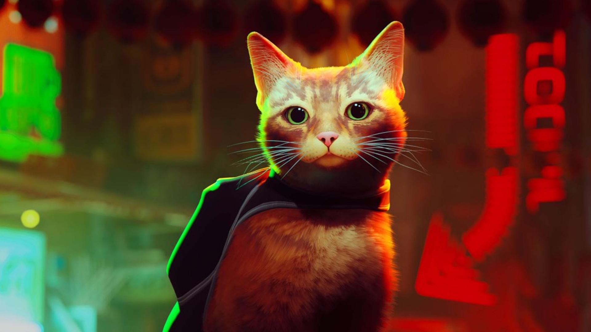 Stray — fanart