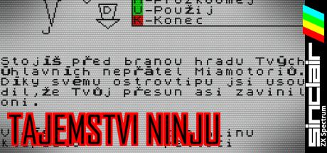Tajemství ninjů — steamgrid