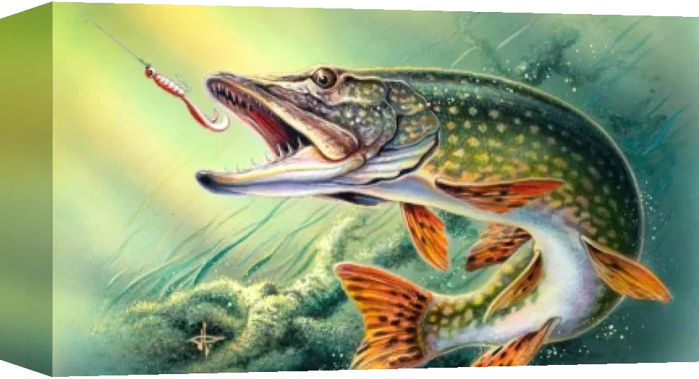 Rapala Pro Bass Fishing — box-3D (WOR)