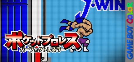 Pocket Pro Wrestling - Perfect Wrestler — steamgrid