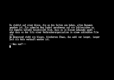 Castle Adventure Simulator — ss (EU)