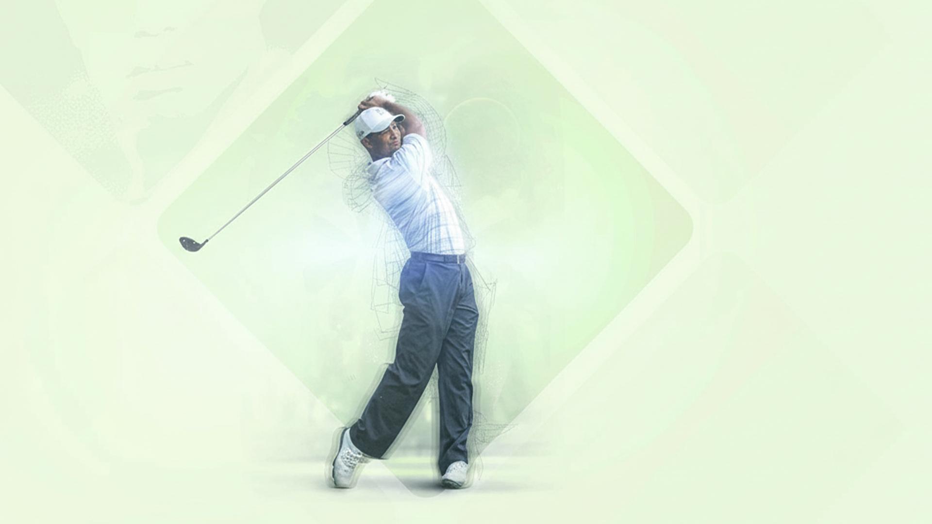 Tiger Woods PGA Tour 11 — fanart
