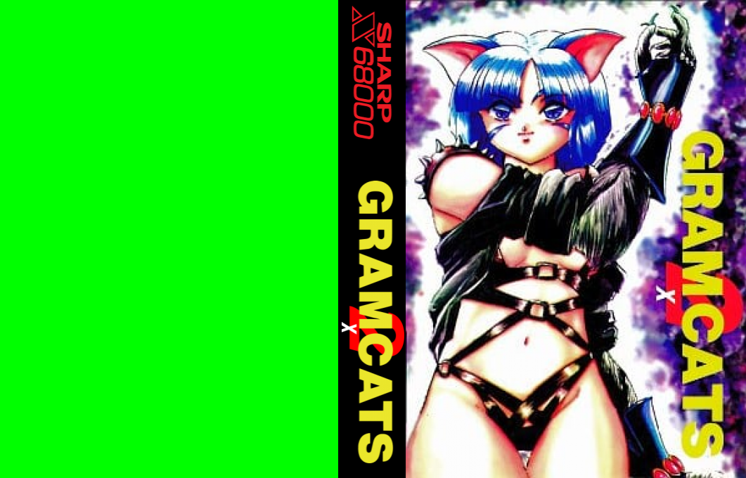 Gram Cats 2 — box-texture (JP)
