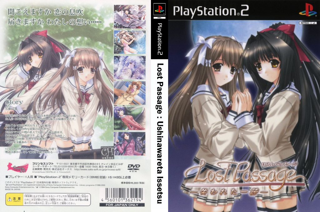 Lost Passage - Ushinawareta Issetsu — box-texture (JP)