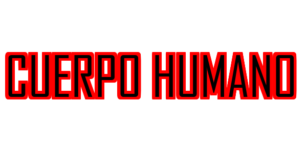 Cuerpo Humano — wheel-hd (SS)