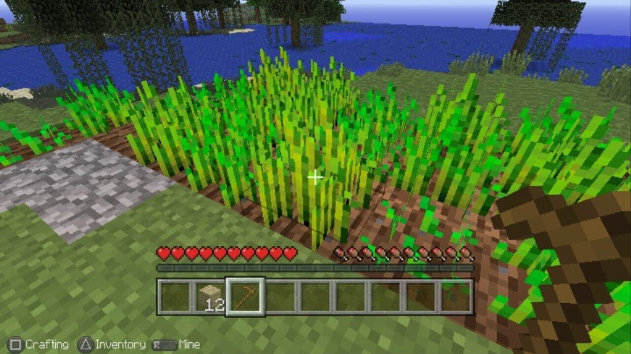 Minecraft - Playstation Vita Edition — screenshot (WOR)