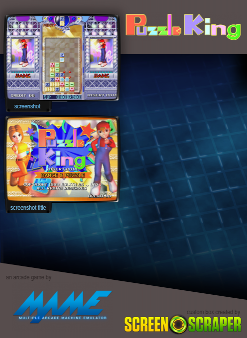 Puzzle King — box-2D-back (SS)
