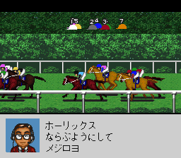 Derby Stallion 96 — ss (JP)