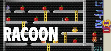 Racoon — steamgrid