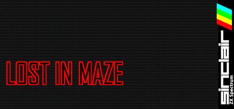 Lost in Maze — steamgrid