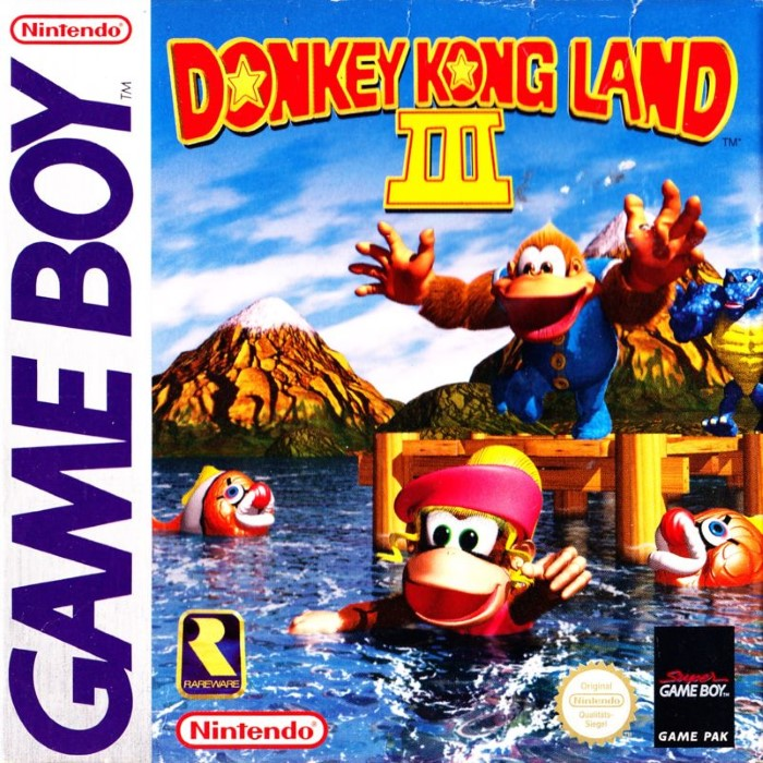 Donkey Kong Land III — box-2D (DE)