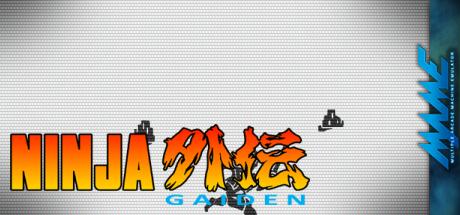 Ninja Gaiden — steamgrid