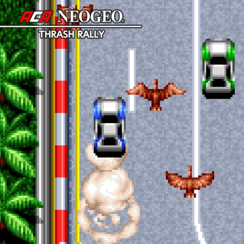 Aca Neogeo Thrash Rally — support-texture (CUS)