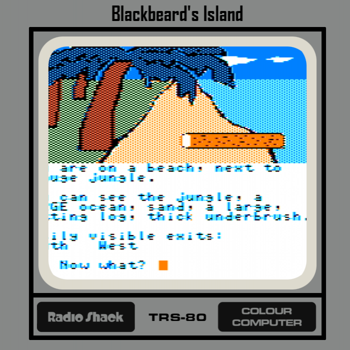 Blackbeard's Island box art