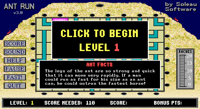 Ant Run — sstitle (WOR)