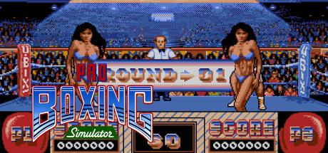 Pro Boxing Simulator — steamgrid