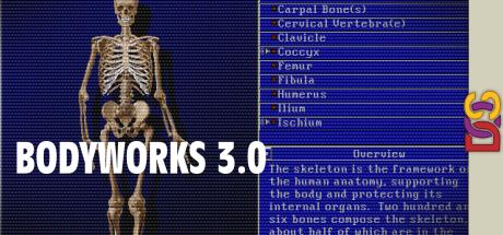 Bodyworks 3.0 — steamgrid