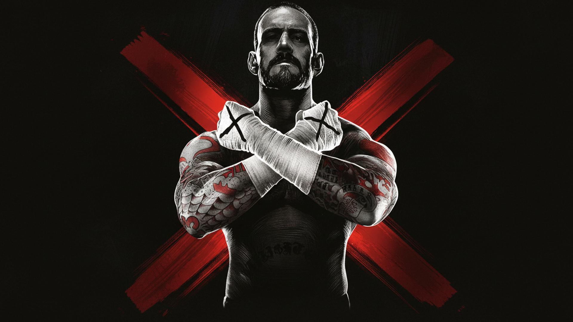 WWE '13 — fanart