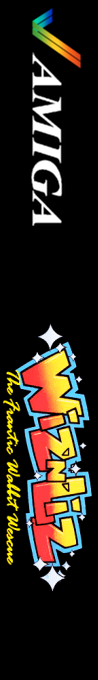 Wiz 'n' Liz — box-2D-side (WOR)