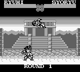 Sd Hiryuu No Ken Gaiden 2 — ss (WOR)