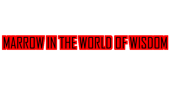Marrow In The World Of Wisdom — wheel-hd (SS)