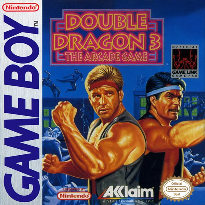 Double Dragon 3 : The Arcade Game box art