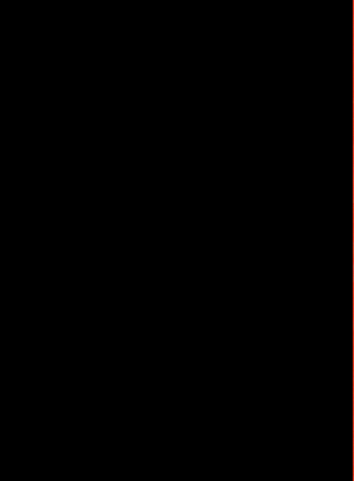 Race Fun — box-2D-back (WOR)