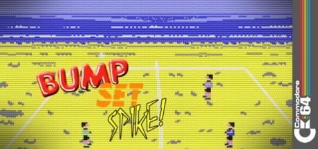Bump, Set, Spike! Doubles Volleyball — steamgrid